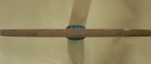 ����һֻ�Ϻ�壬100�����