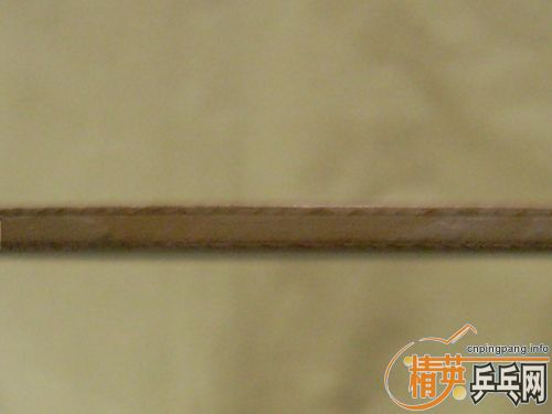 ����һֻ�Ϻ�壬100�����