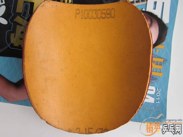 ��stiga eg,����viva��ͦ��Blaszczyk��yasaka yes������һЩ��Ƥ��ʡ��fx�����ˣ���ͣ����񣬳���һŵ���ȵȣ�