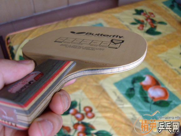 �����л���̼ �޿����� 440Ԫ��˳����