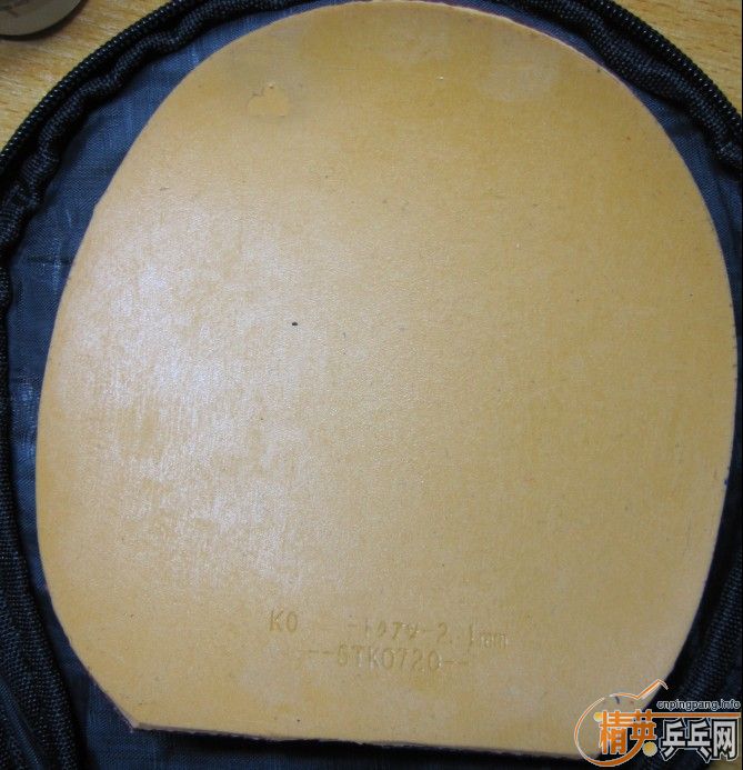 ��ɫ�ż̿ƹ����ͺ�ɫרҵ��05 ����һ��ɽ��64 ��05���249