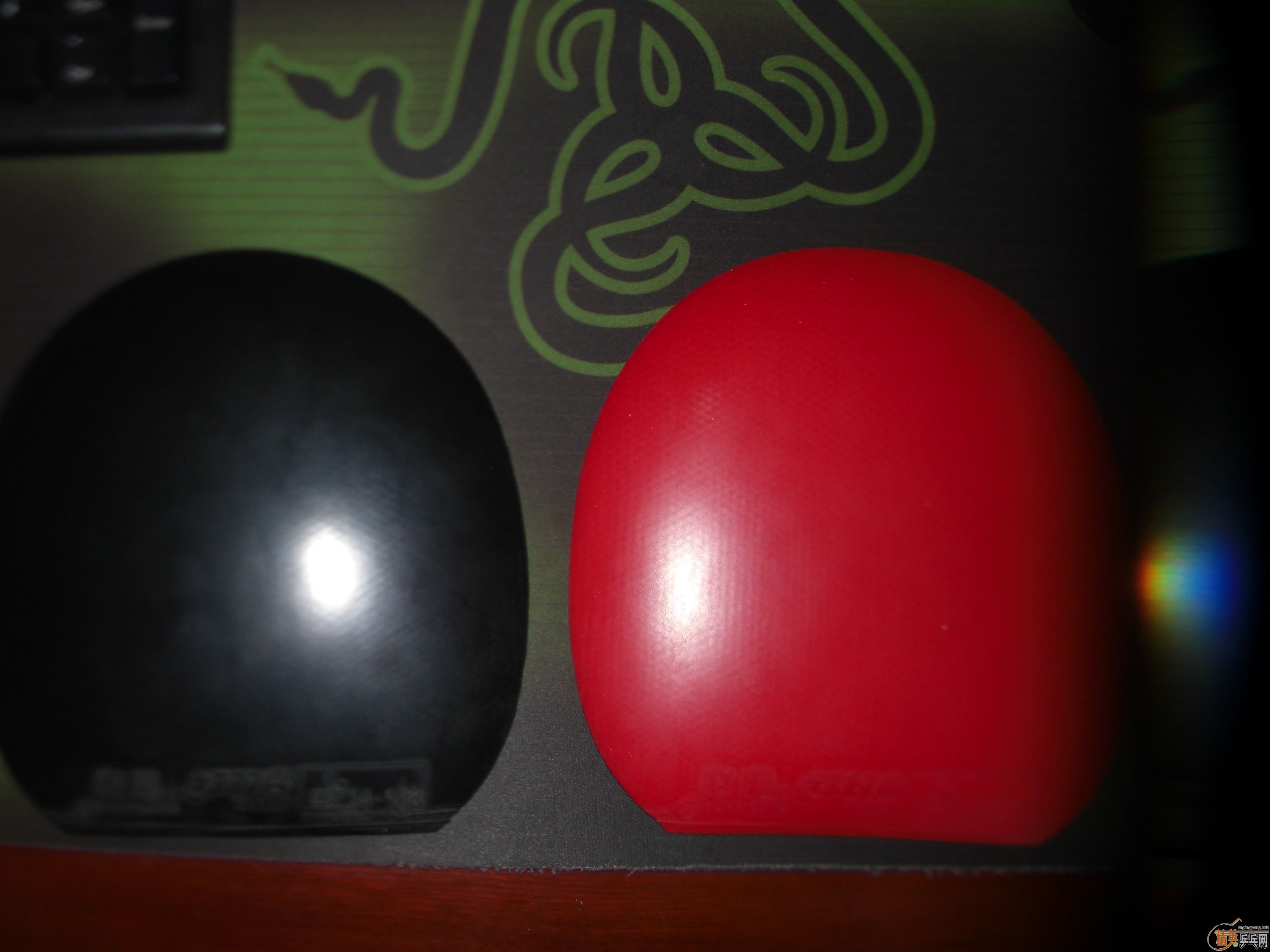 ֧������NEO��ɫ����ɫʡ����