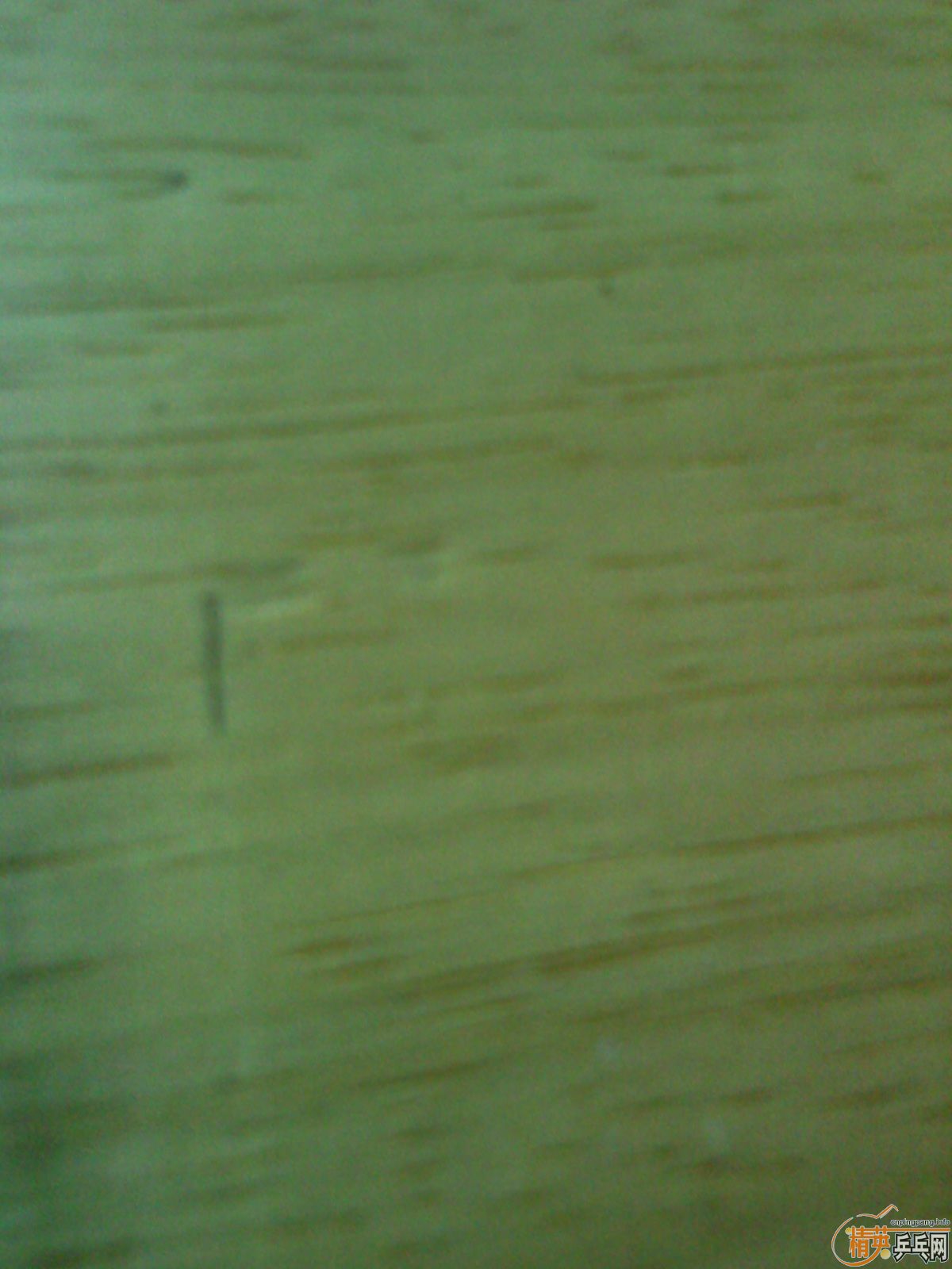 ��̼��V1+41�Ⱥ����+T64�����߻�