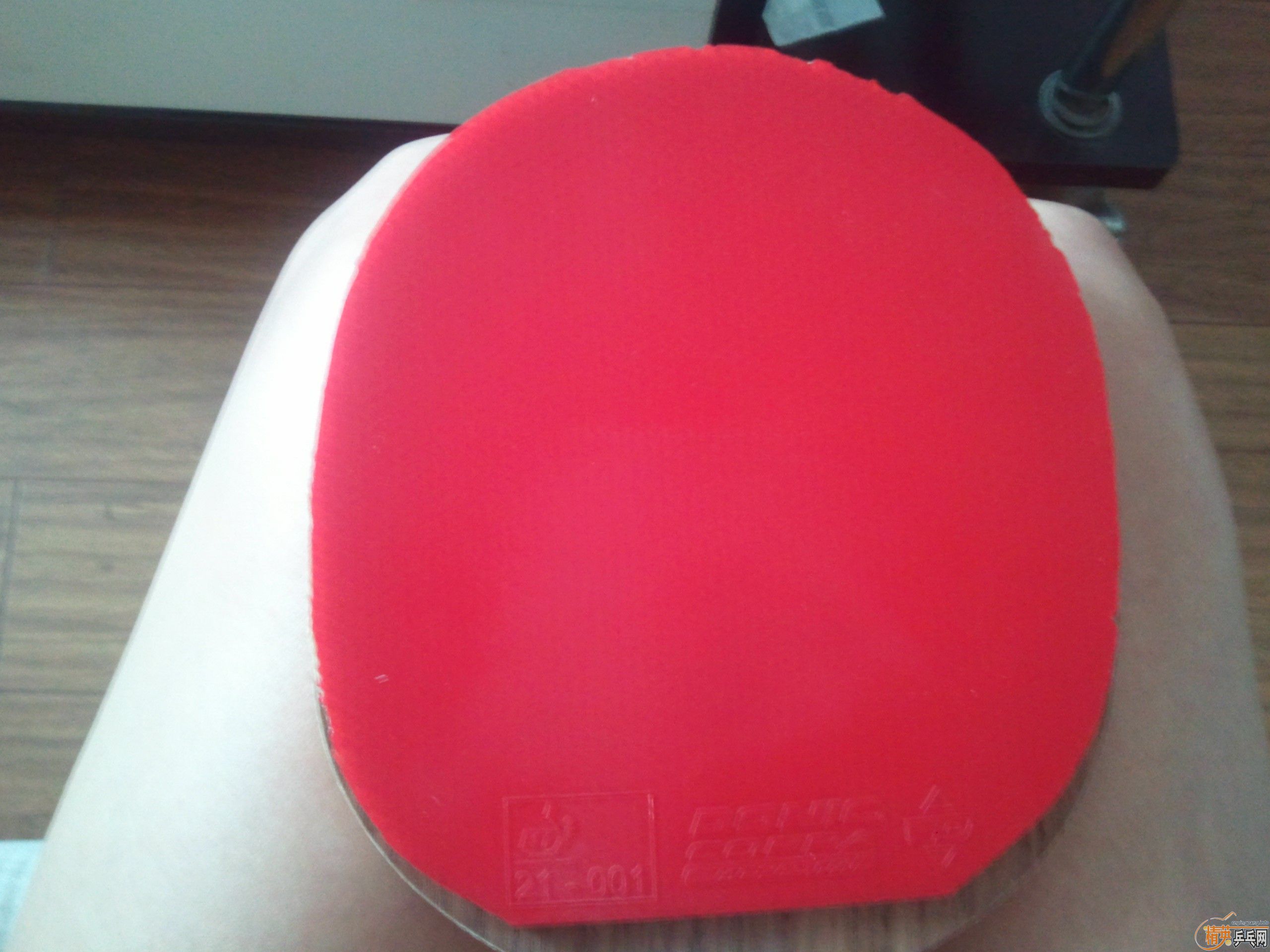 �ͼ۳���ɫ����˲���JOֱ�巴���׽�