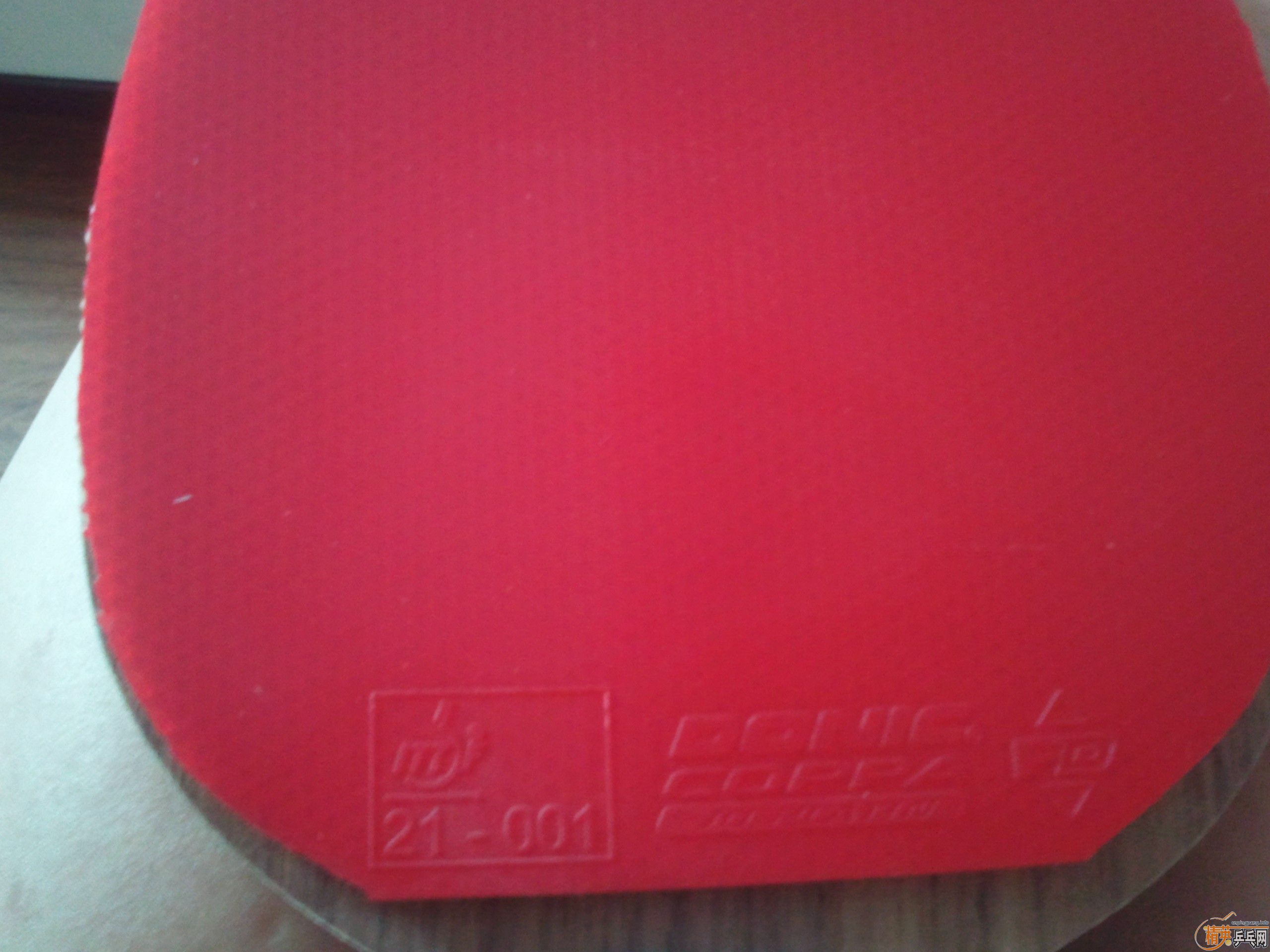 �ͼ۳���ɫ����˲���JOֱ�巴���׽�