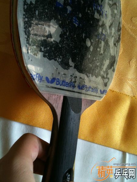 ���Ͽ����