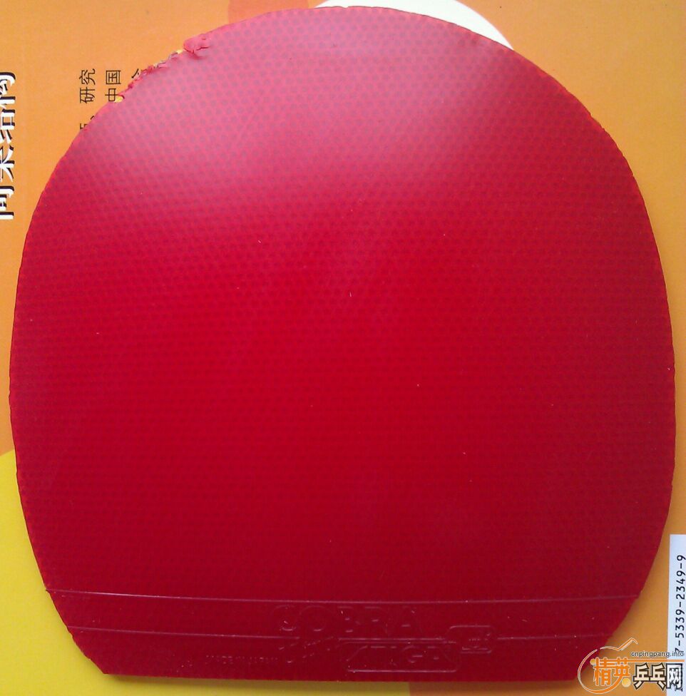 ����������׽���˹�ٿ��Ϳ���