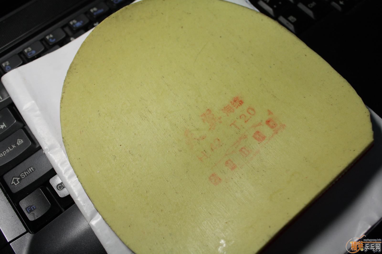 �������EL MAX+����+neo����+���ӽ���2