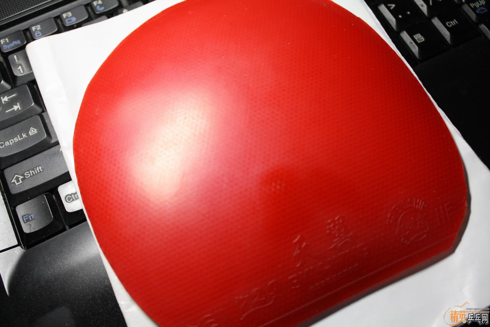 �������EL MAX+����+neo����+���ӽ���2