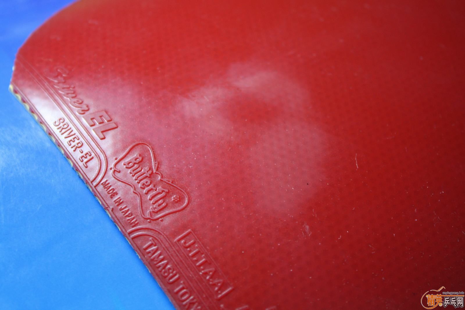 �������EL MAX+����+neo����+���ӽ���2