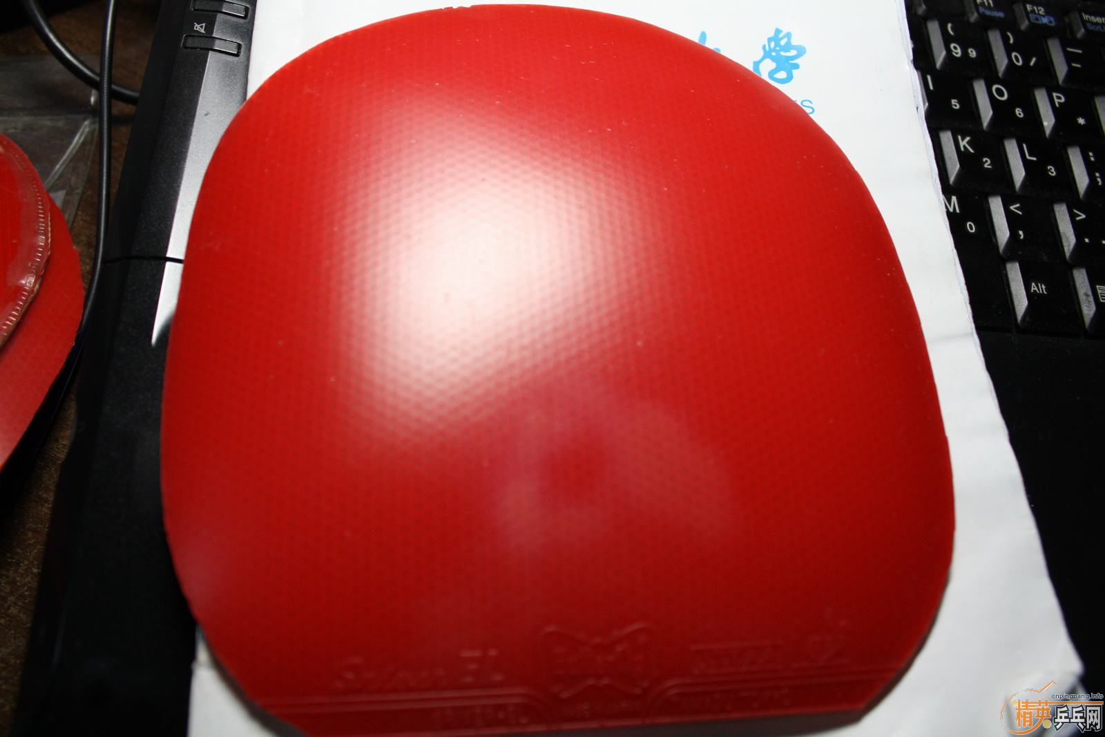 �������EL MAX+����+neo����+���ӽ���2