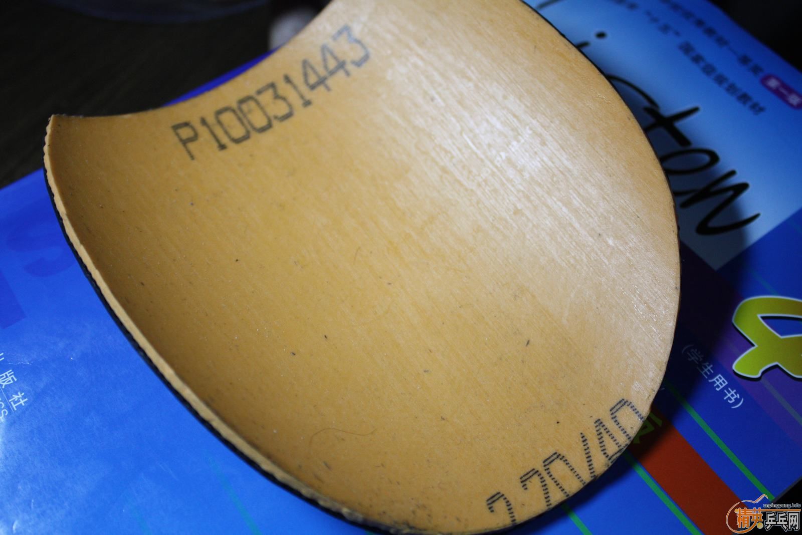 �������EL MAX+����+neo����+���ӽ���2