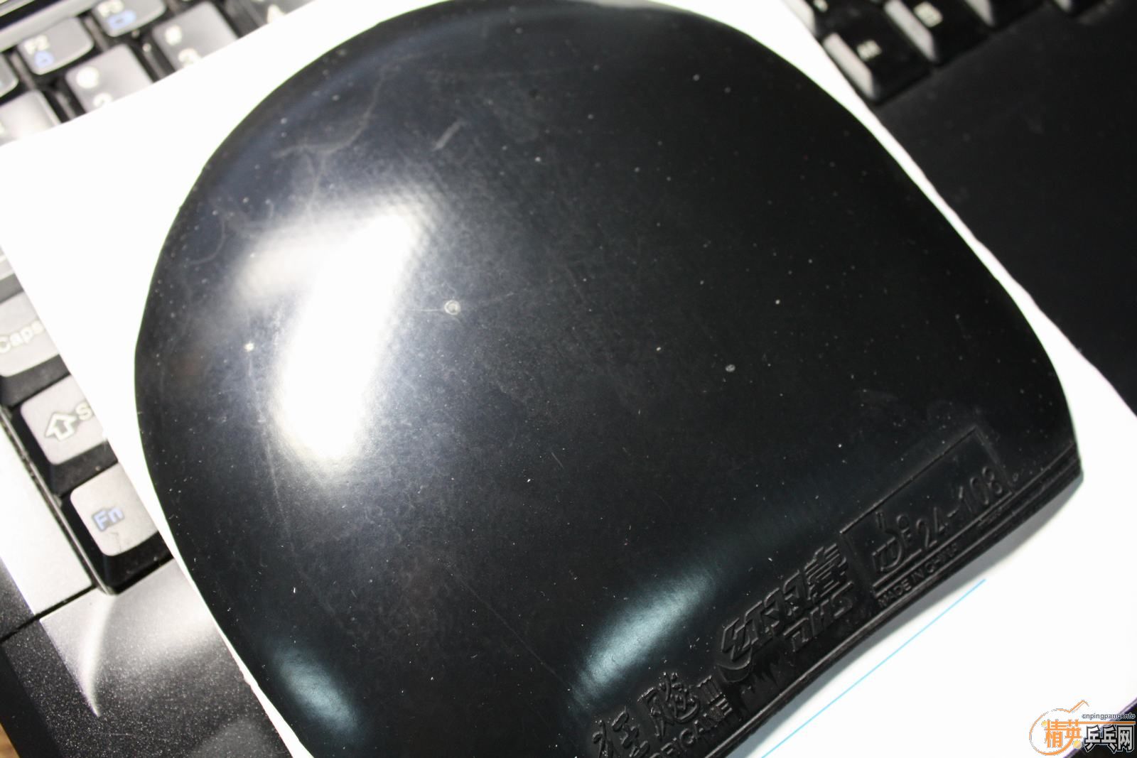 �������EL MAX+����+neo����+���ӽ���2