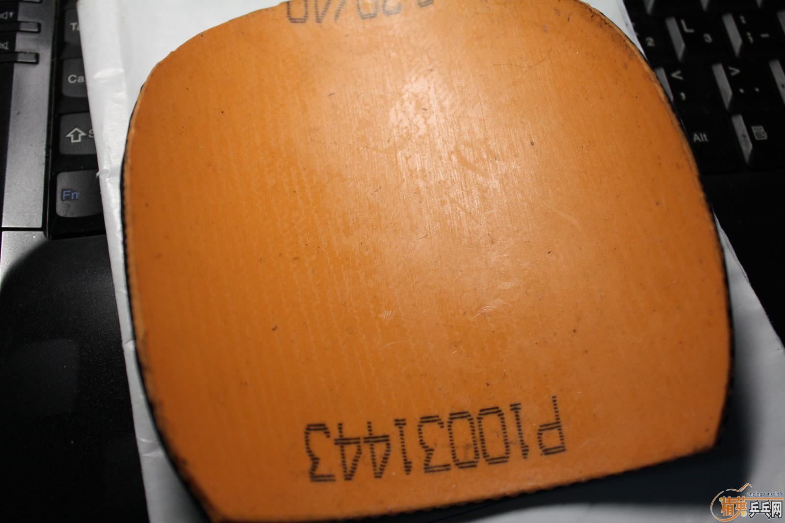 �������EL MAX+����+neo����+���ӽ���2