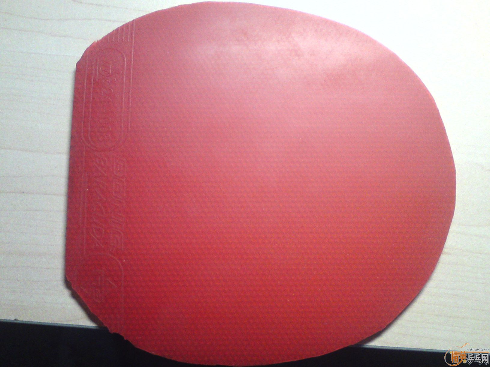 ������9�����ʷ�� baracuda ʡ�� ��