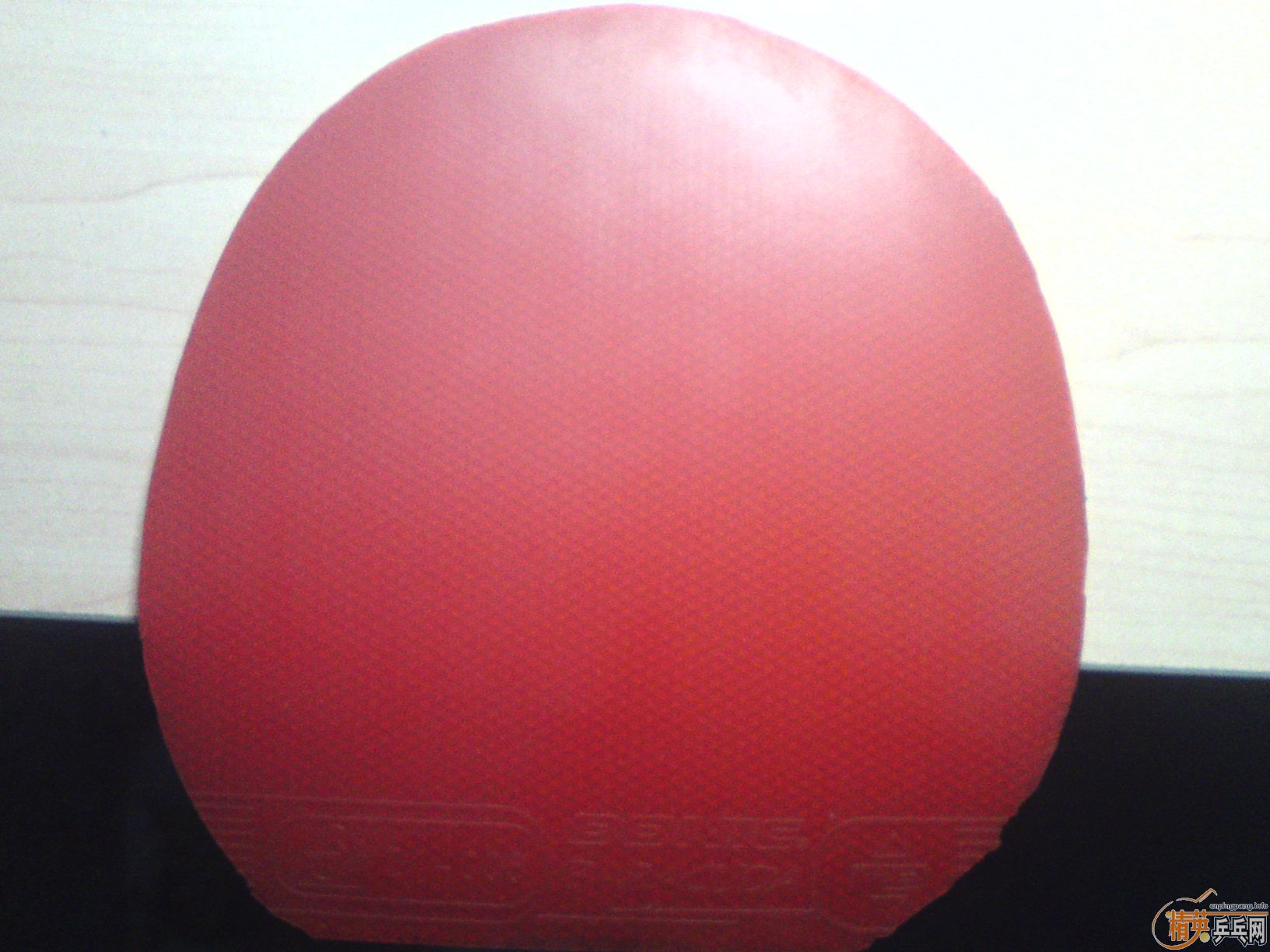 ������9�����ʷ�� baracuda ʡ�� ��