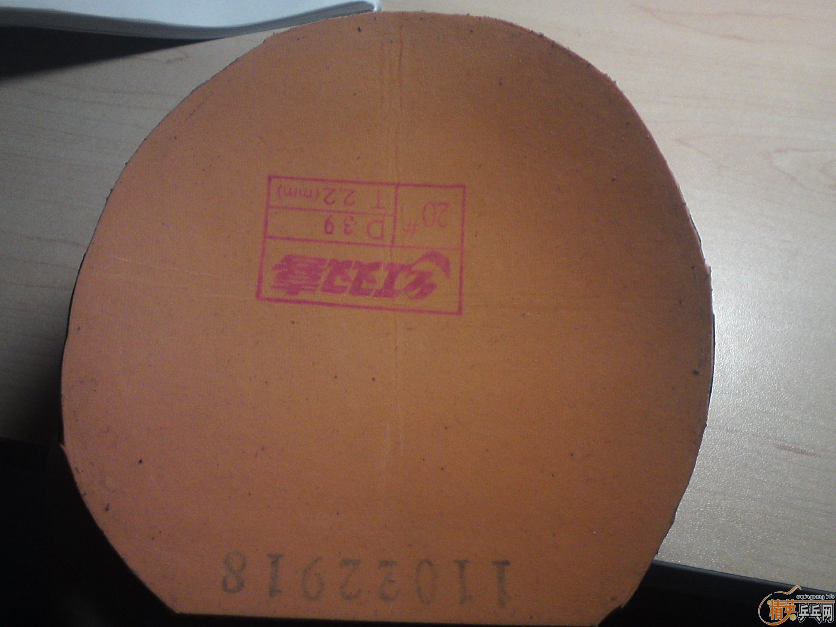 ������9�����ʷ�� baracuda ʡ�� ��