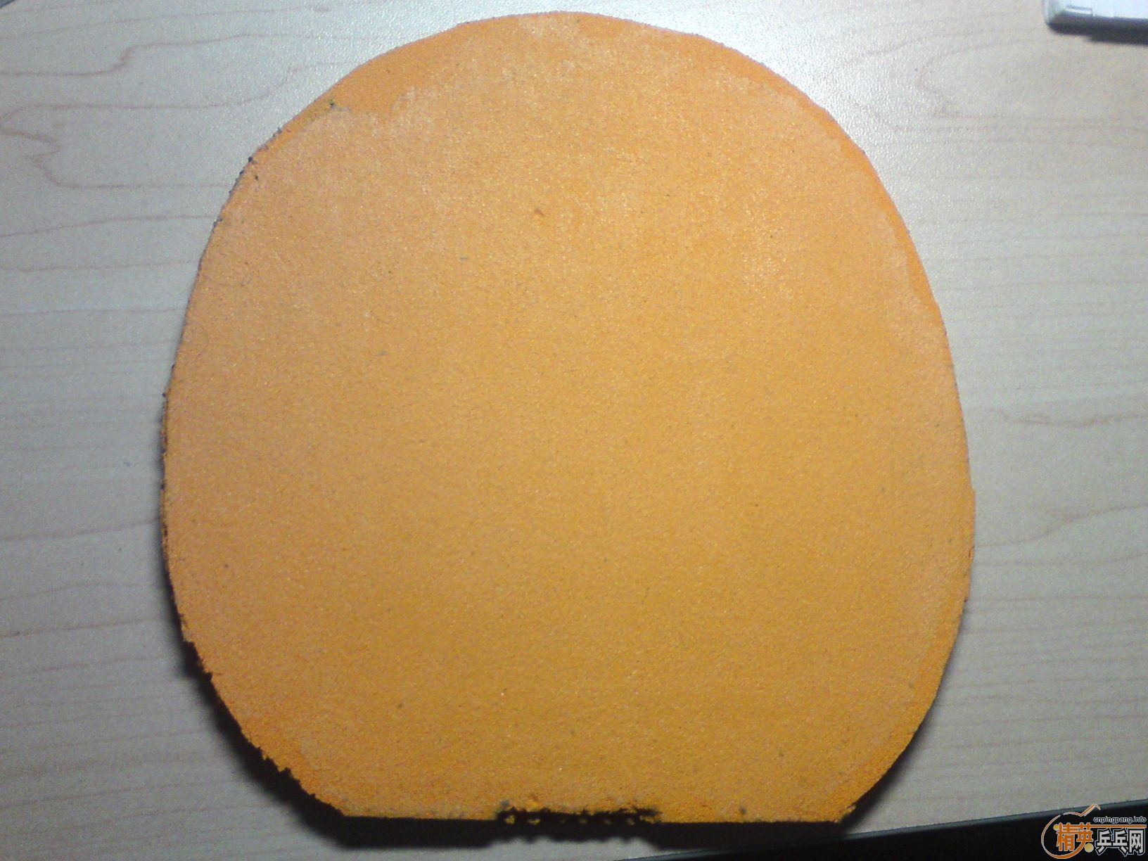 ������9�����ʷ�� baracuda ʡ�� ��