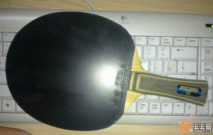 ��vis��cl��cl���ӣ�ȫ�л�