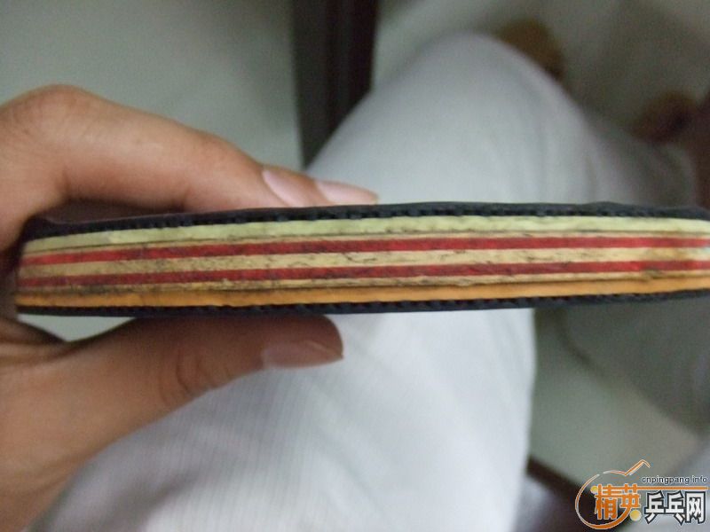 ŷ��stiga cl wrb ��ֱ��