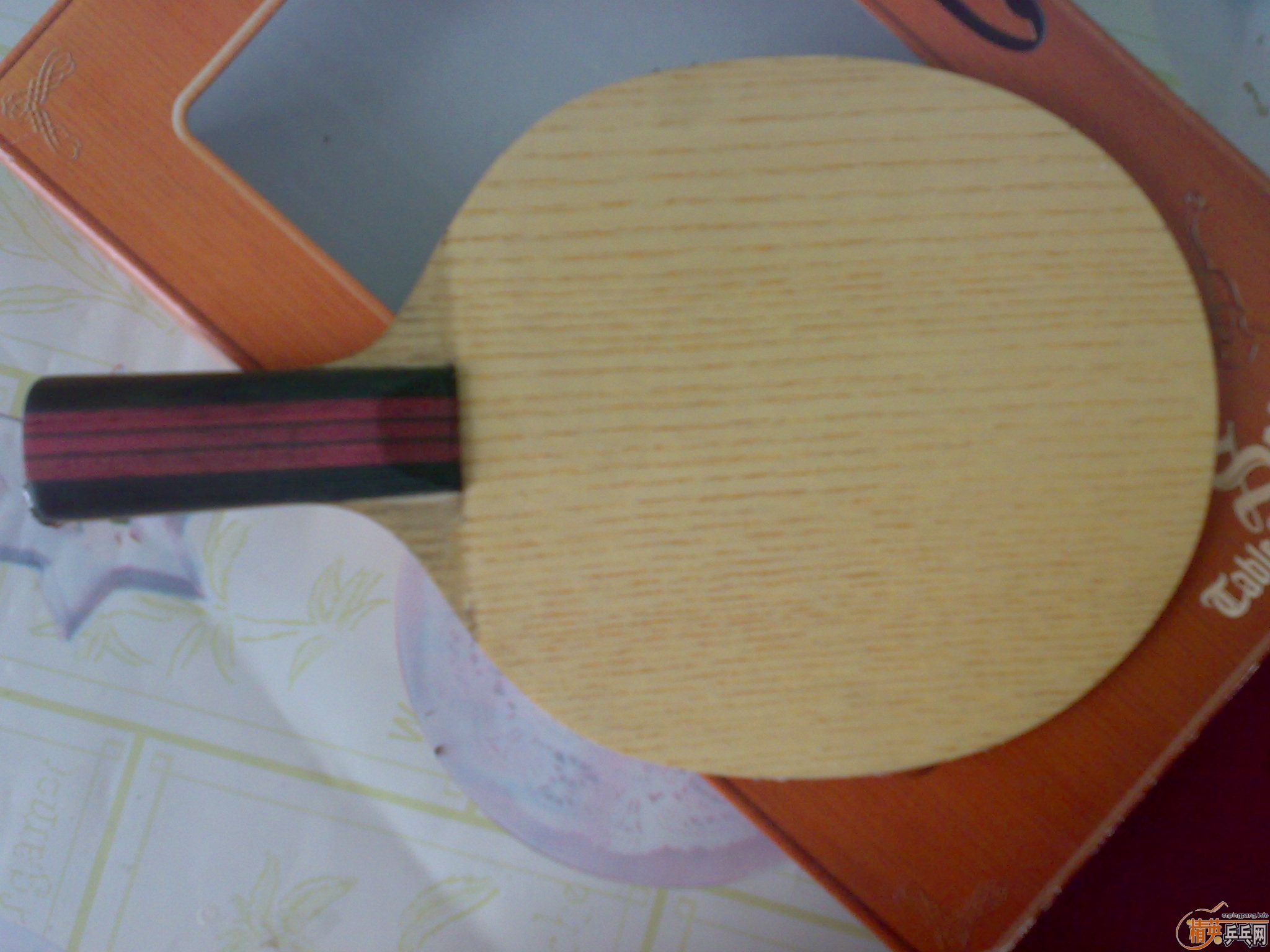 ��С����һֻ��