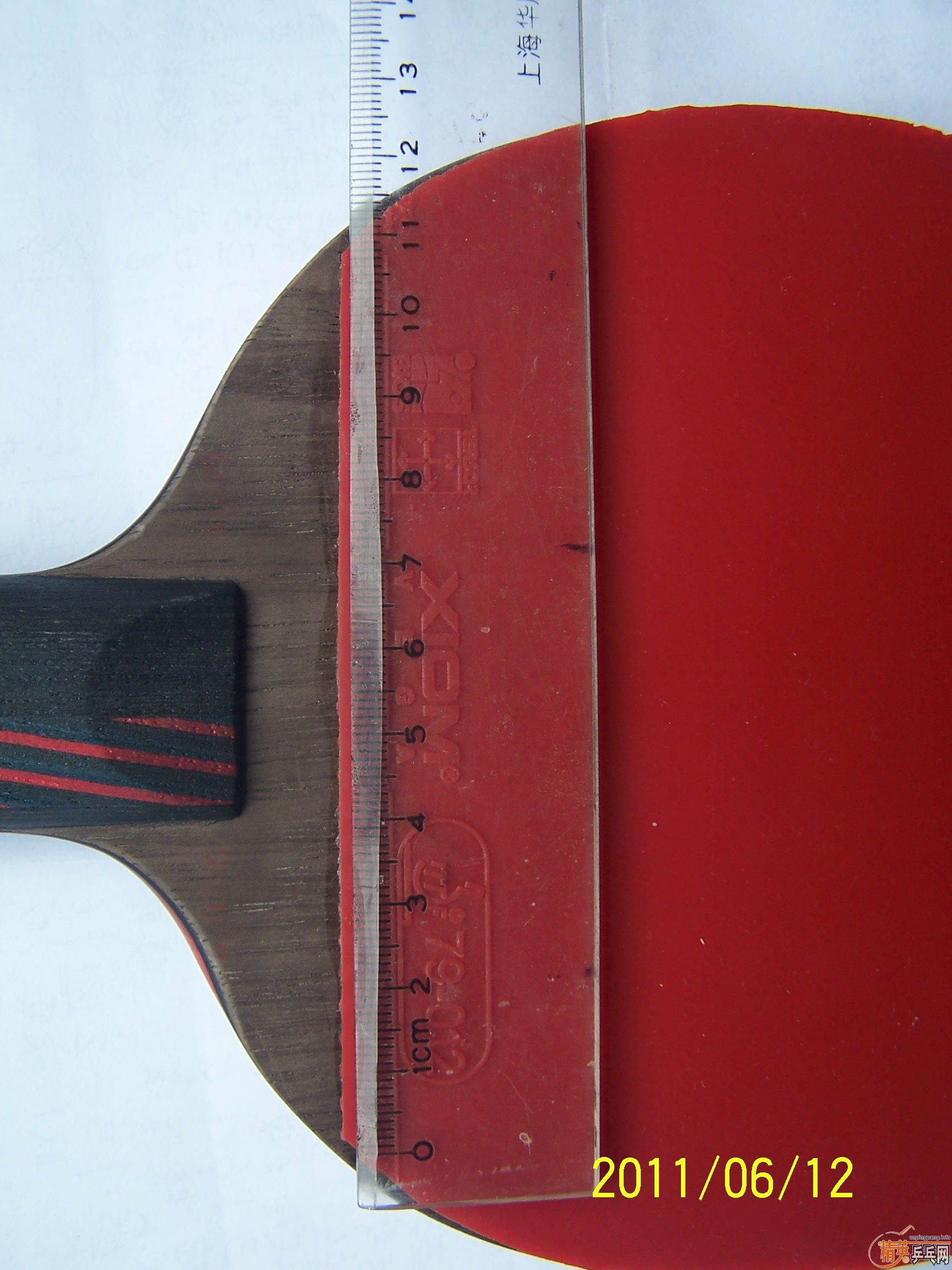 110���ʳ�һ�Խ�Ƥ��T05   ��V)