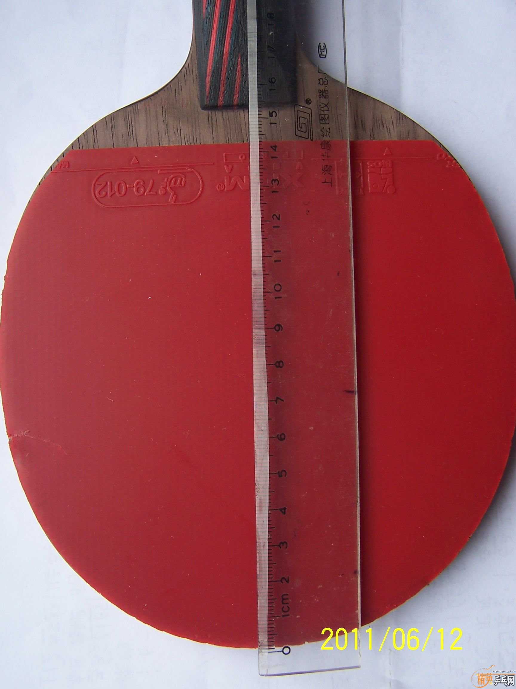 110���ʳ�һ�Խ�Ƥ��T05   ��V)