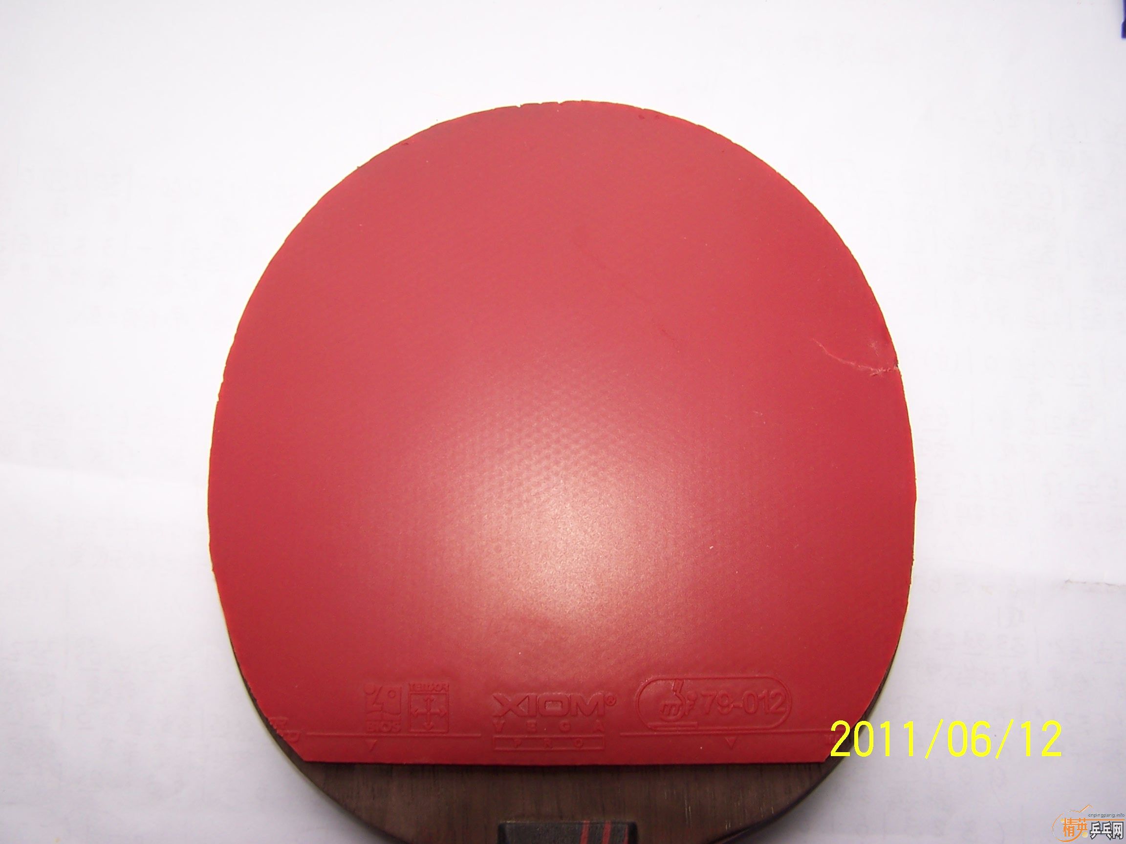 110���ʳ�һ�Խ�Ƥ��T05   ��V)