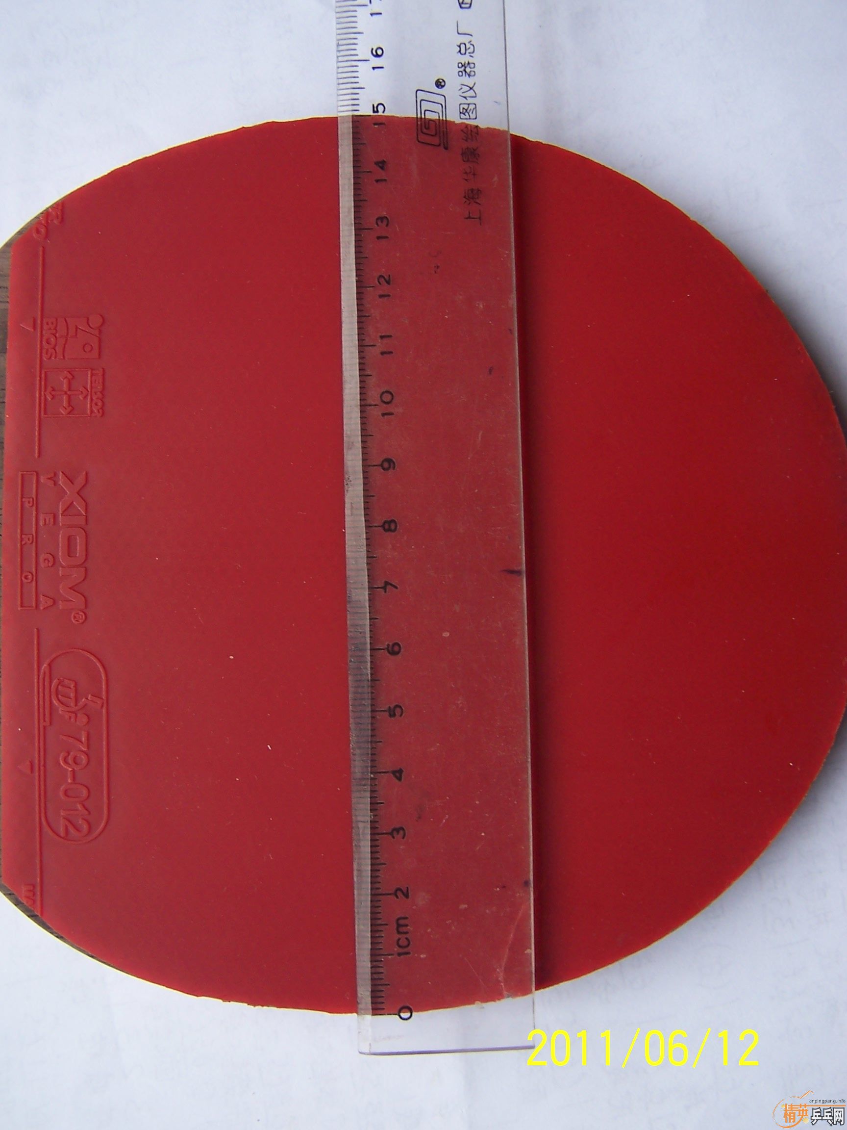 110���ʳ�һ�Խ�Ƥ��T05   ��V)