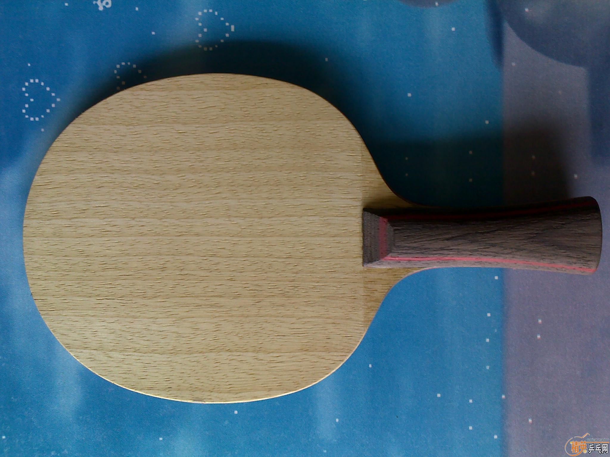 480��˹�ۿ� ��ʵCL