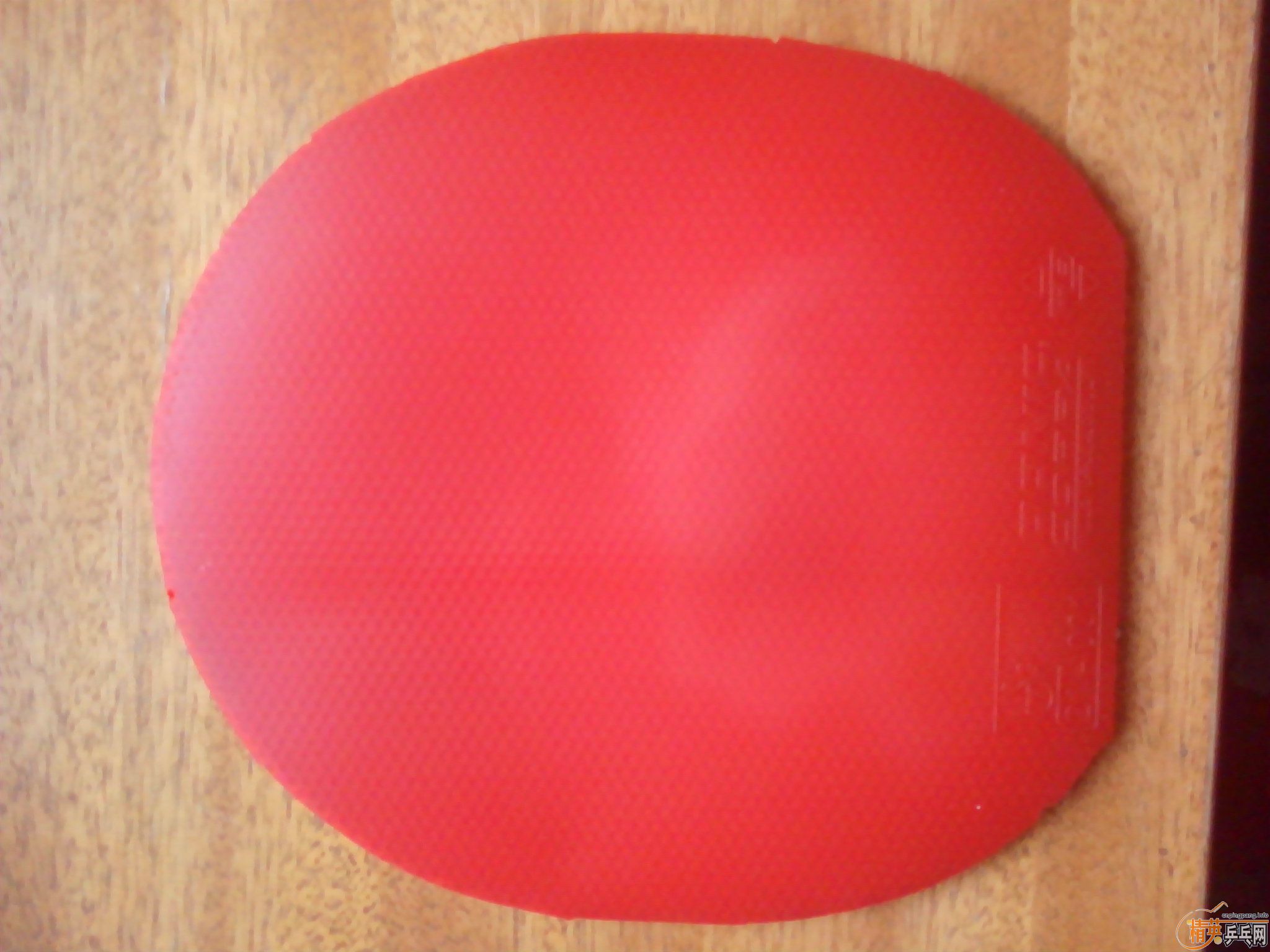 ��һ��ֱ������! ���ֺ�ɫ���+���ֺ�ɫ����JO! ��ɫ��