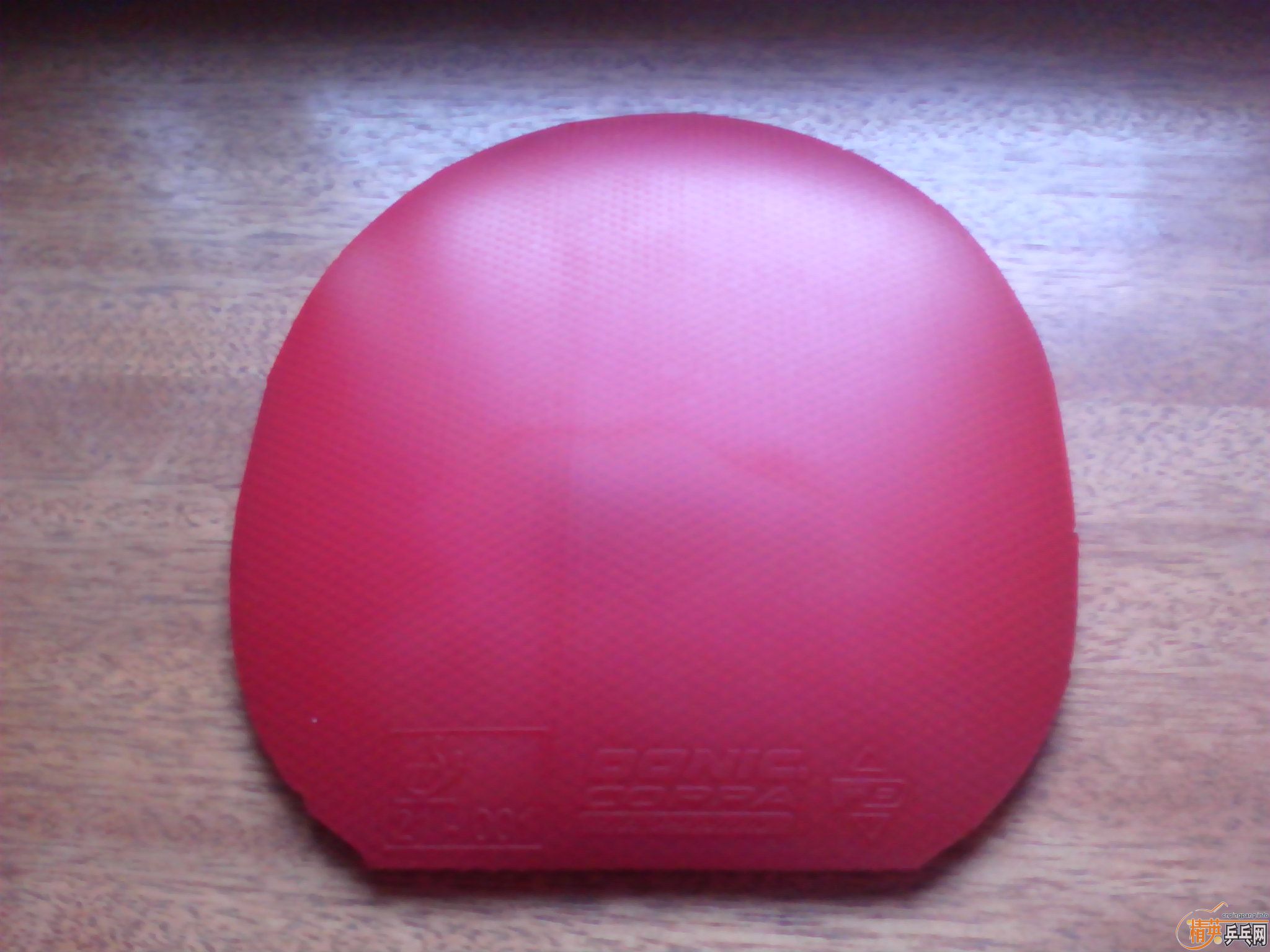 ��һ��ֱ������! ���ֺ�ɫ���+���ֺ�ɫ����JO! ��ɫ��