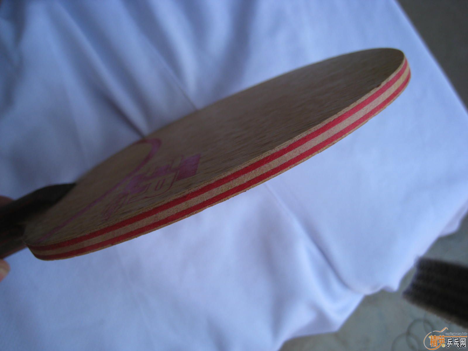 �л�CL CR WRB 230Ԫ����