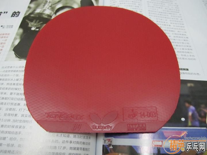 ����ƬƤ�ӣ���Ƭ���� +  T64