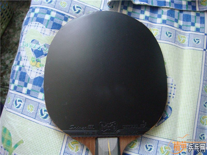 ʡ�� EL   ֱ��YEO����