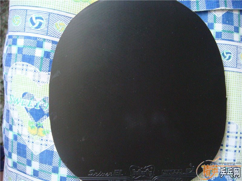 ʡ�� EL   ֱ��YEO����