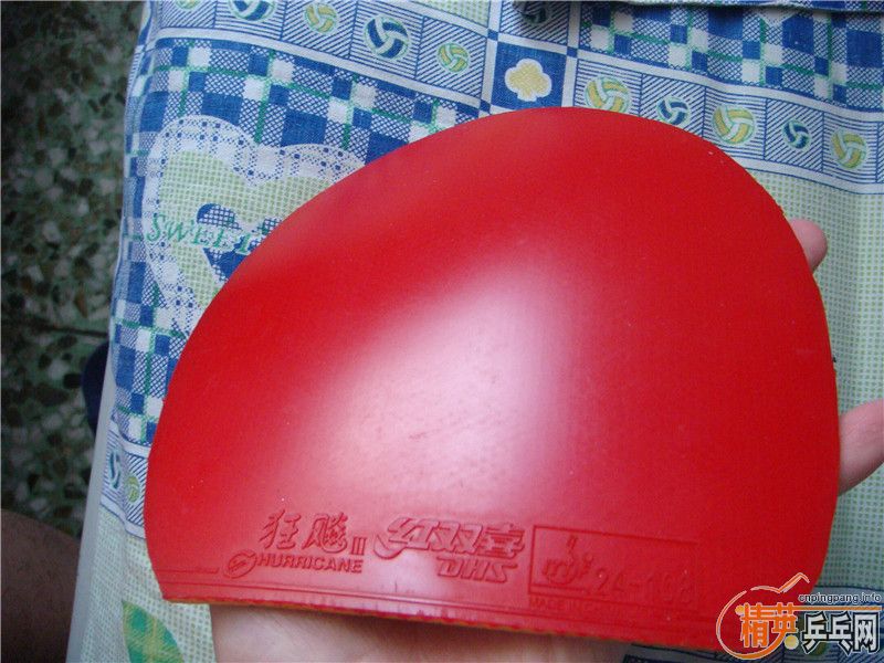 ʡ�� EL   ֱ��YEO����