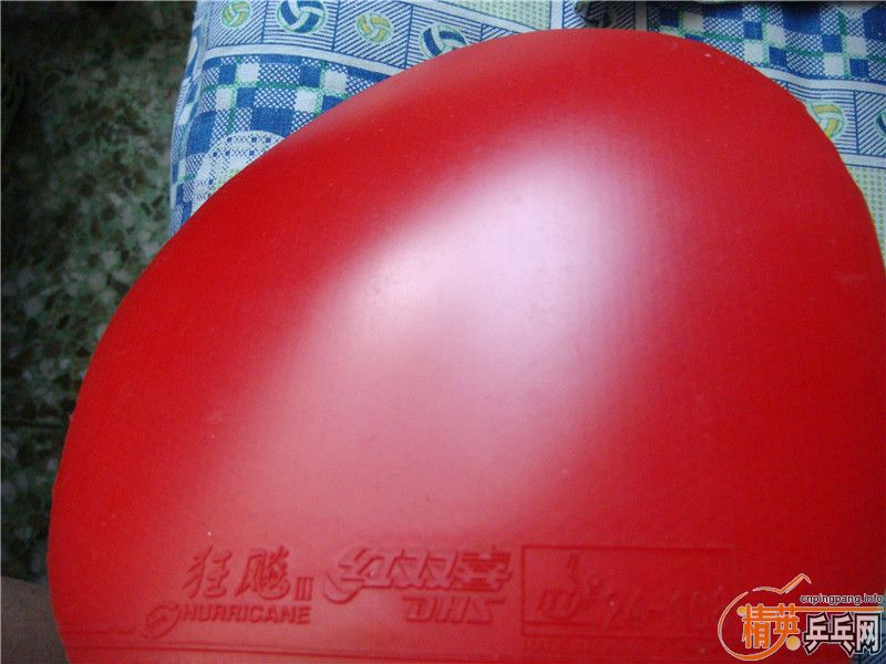 ʡ�� EL   ֱ��YEO����