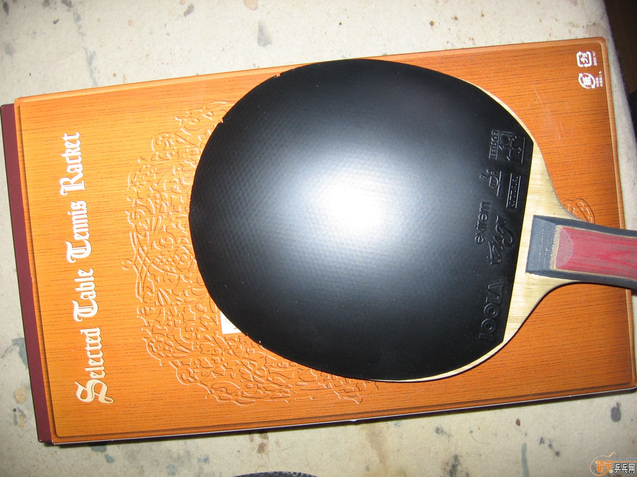 JOOLA ̽�� ��ɫMAX