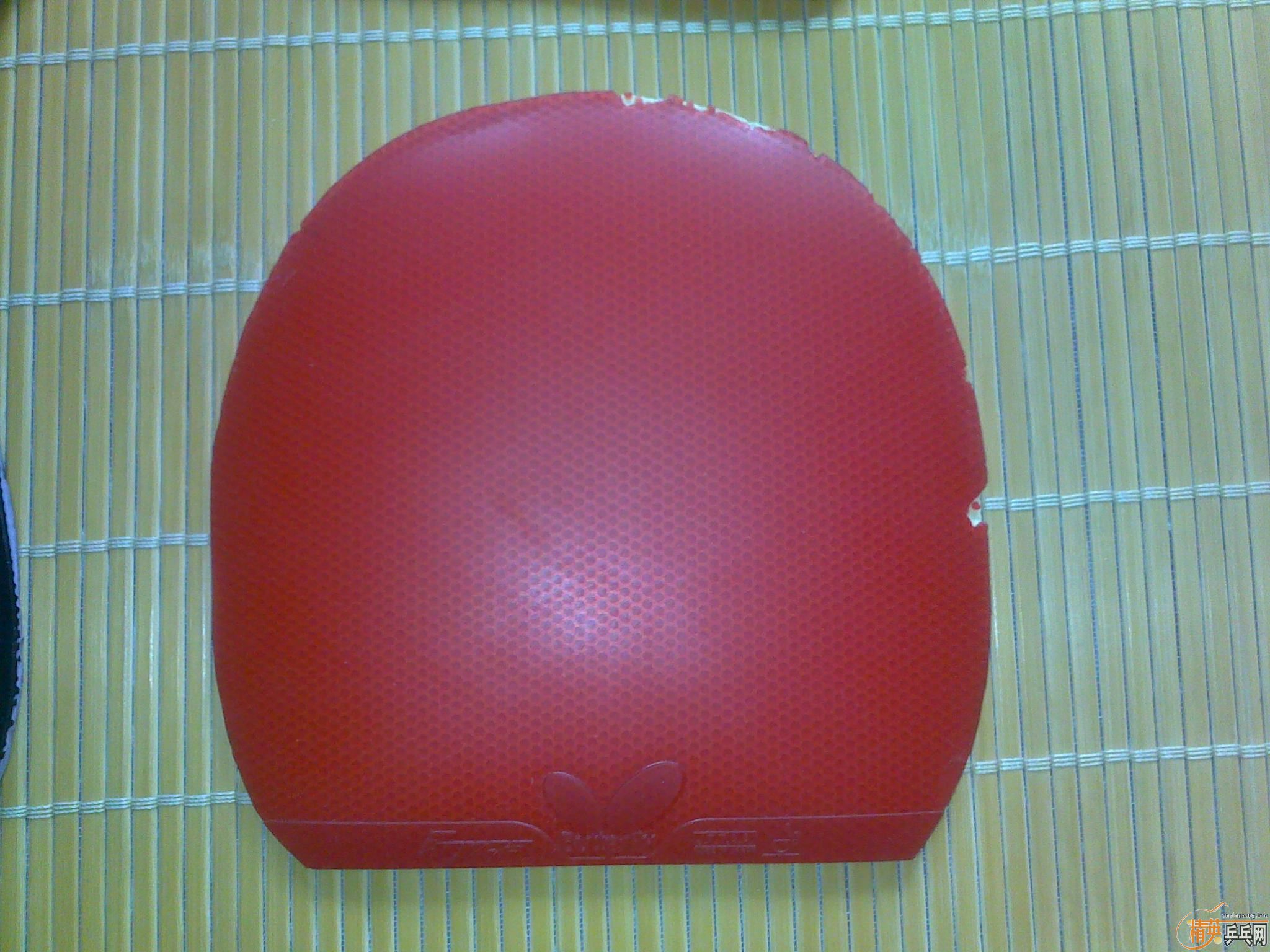 ��һ���׽������и�ҵ���׽����С�ϲ���Ա�������~~~~~~~~~~~~~~~~~~~~~~~~~~~~~~~~~~~~~