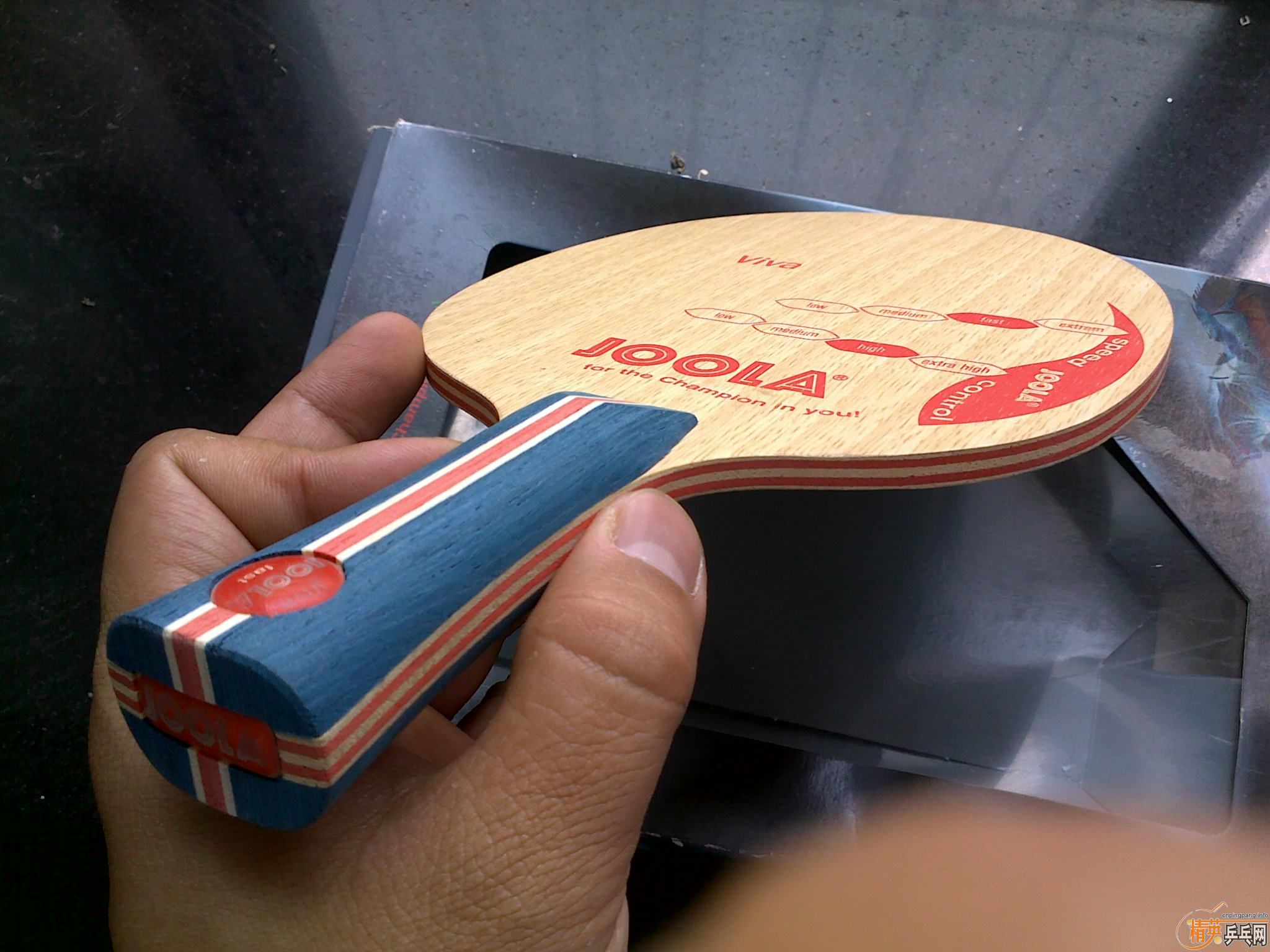 Joola Viva FL~����