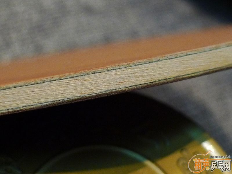 ��֧������81��ŷ�������������£�328Ԫ