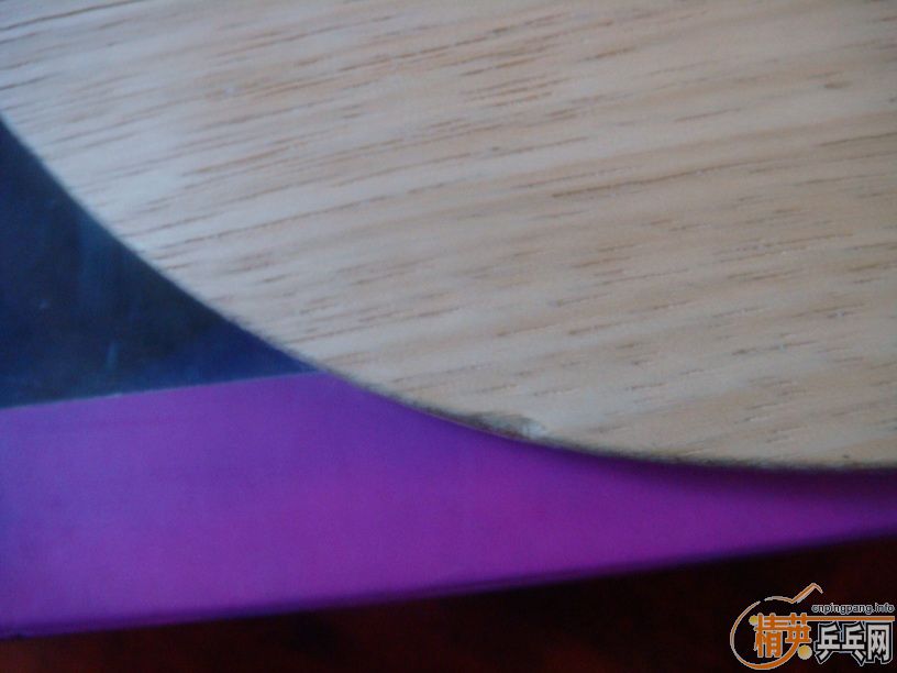 ���գ��������������Ʒ�հ��������������·��ŷ��OC-CR-WRB��DONIC���ֱ�ķ