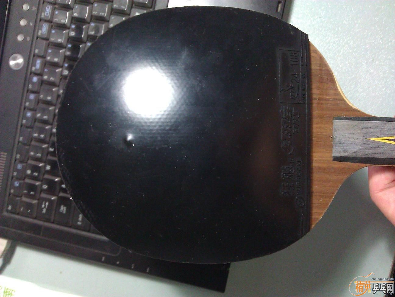 ������ʡ����