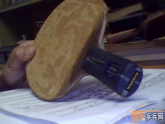 YE  ֱ ���Ͽƺ�