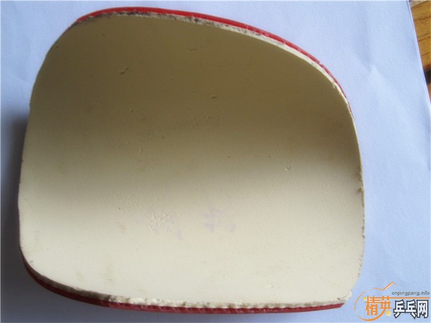 һ��˳���OC-CR��һ��������ZAP���޻�����Ƥ��һ�ź���05FX��һ�Ŷ����F1�����600һ����������