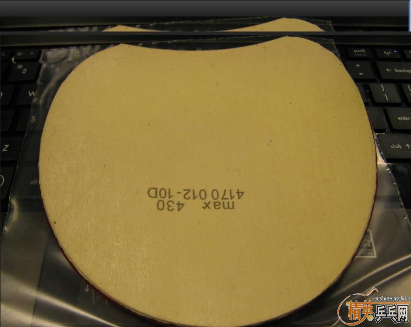 ������2�εİ���Ѫ��430 max