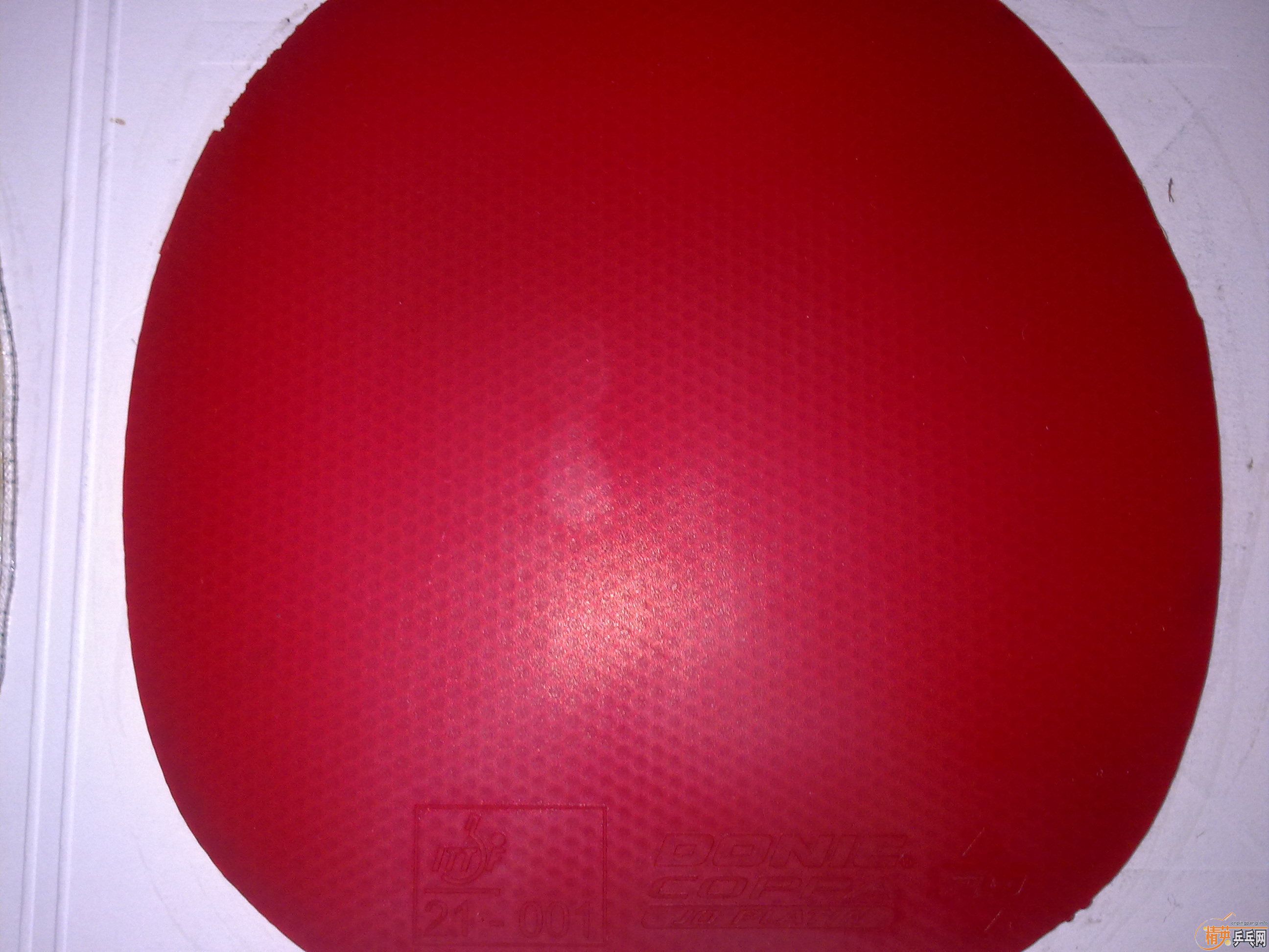 �����XIOM ZETA,DONIC JO,F3,729 563(�ɻ�ʡ��