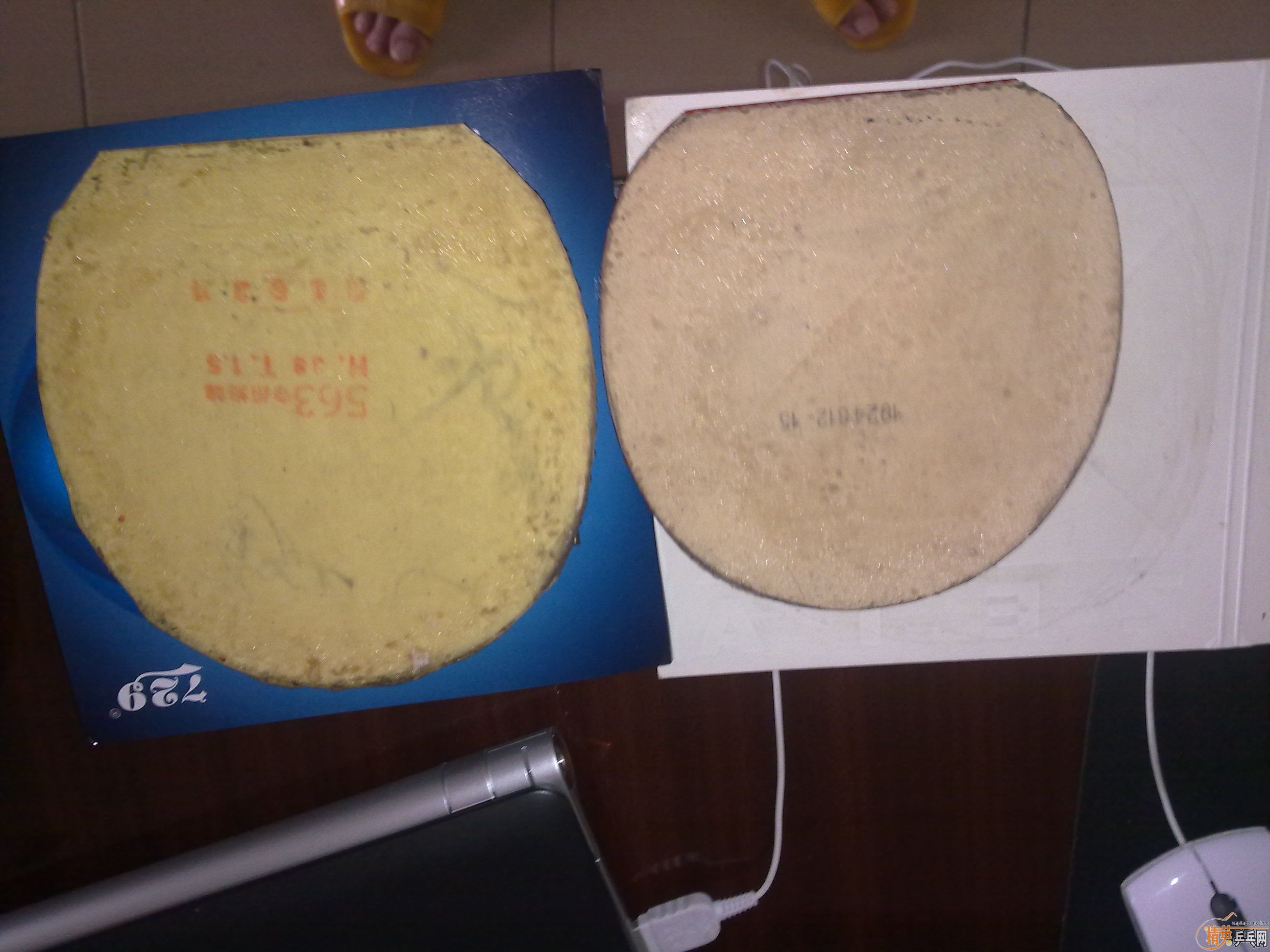 �����XIOM ZETA,DONIC JO,F3,729 563(�ɻ�ʡ��