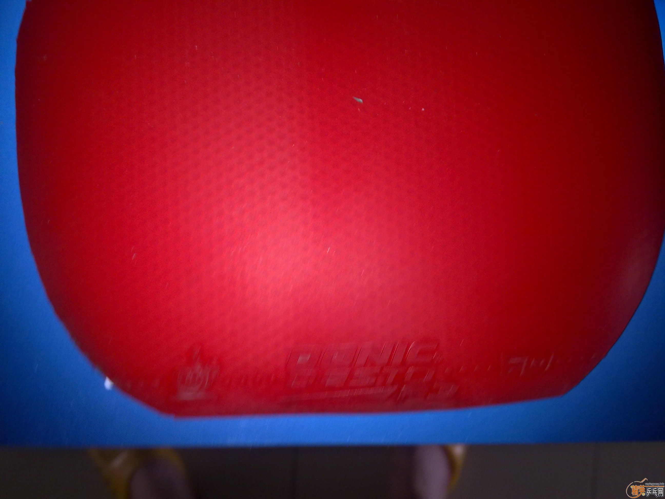 �����XIOM ZETA,DONIC JO,F3,729 563(�ɻ�ʡ��